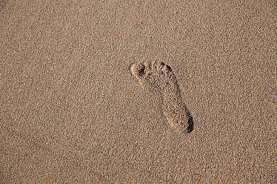 官方提醒 《宝可梦传说Z-A》能带回旧作宝可梦单向不可逆